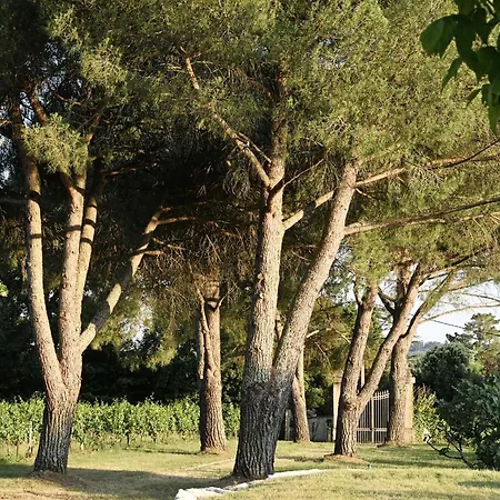 Apartment Chateau Courtade-dubuc Camblanes-et-Meynac